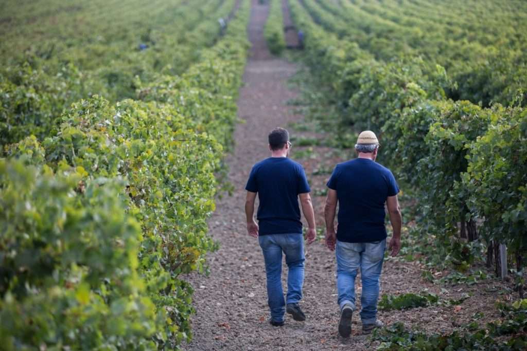 Bollicine di pregio per Colomba Bianca tradizione siciliana e apertura internazionale
