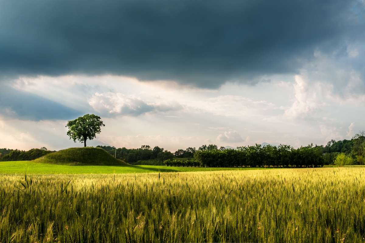 Futuribili il festival dei futuri possibili, un viaggio nelle culture, arti contemporanee e ricerca sociale