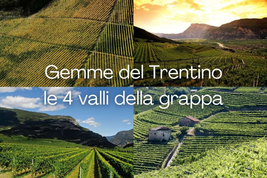 Gemme del Trentino le 4 valli della grappa