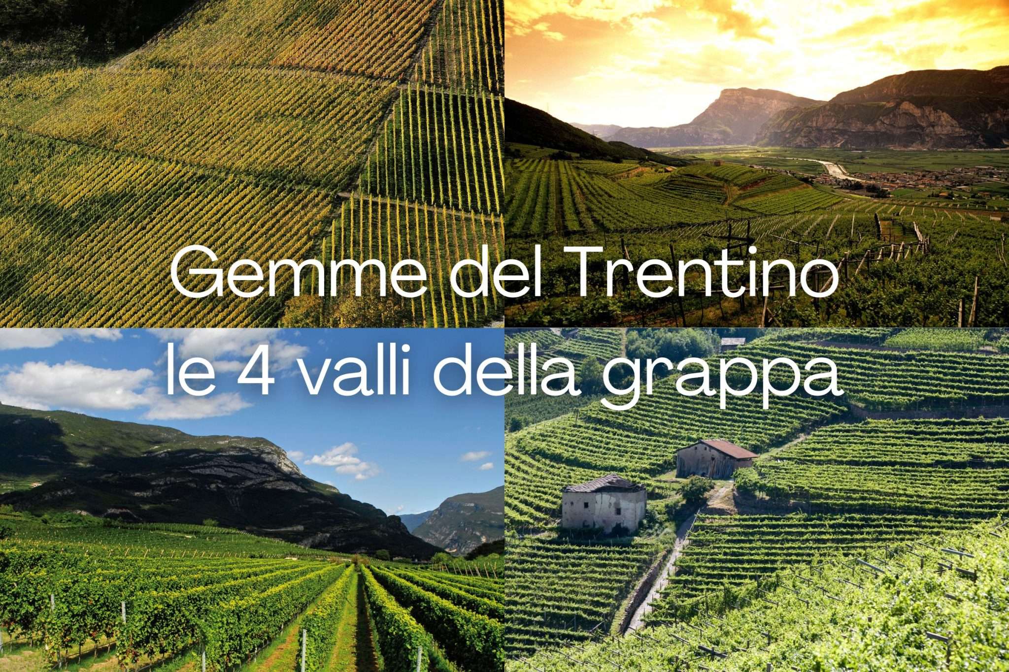Gemme del Trentino le 4 valli della grappa