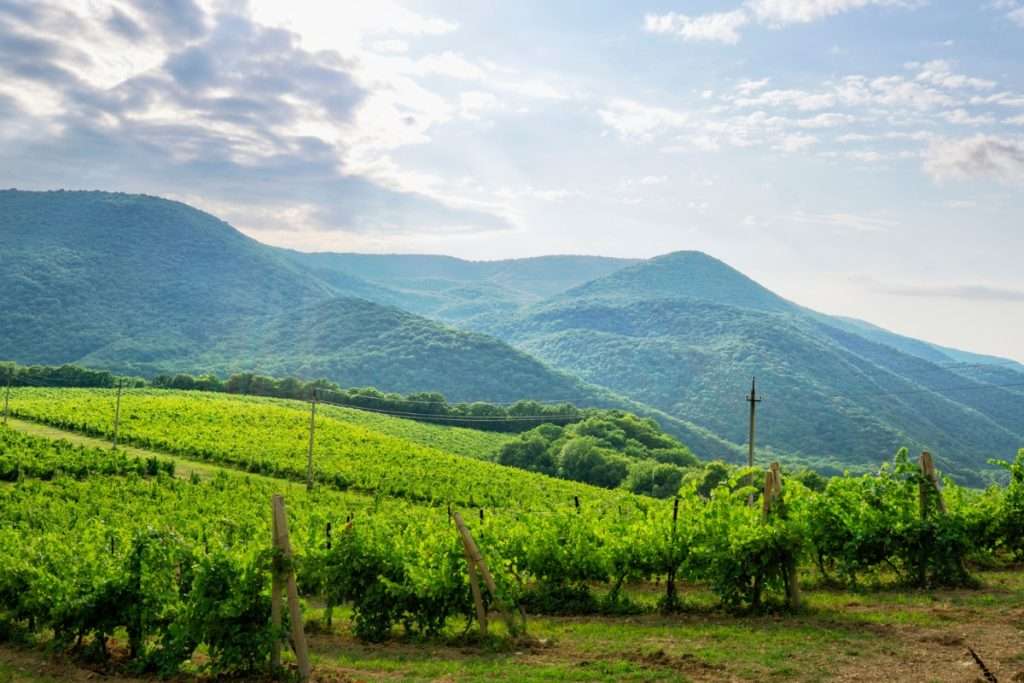 The Ingredients of Wine Tourism: The Importance of Territory and Its Attractiveness