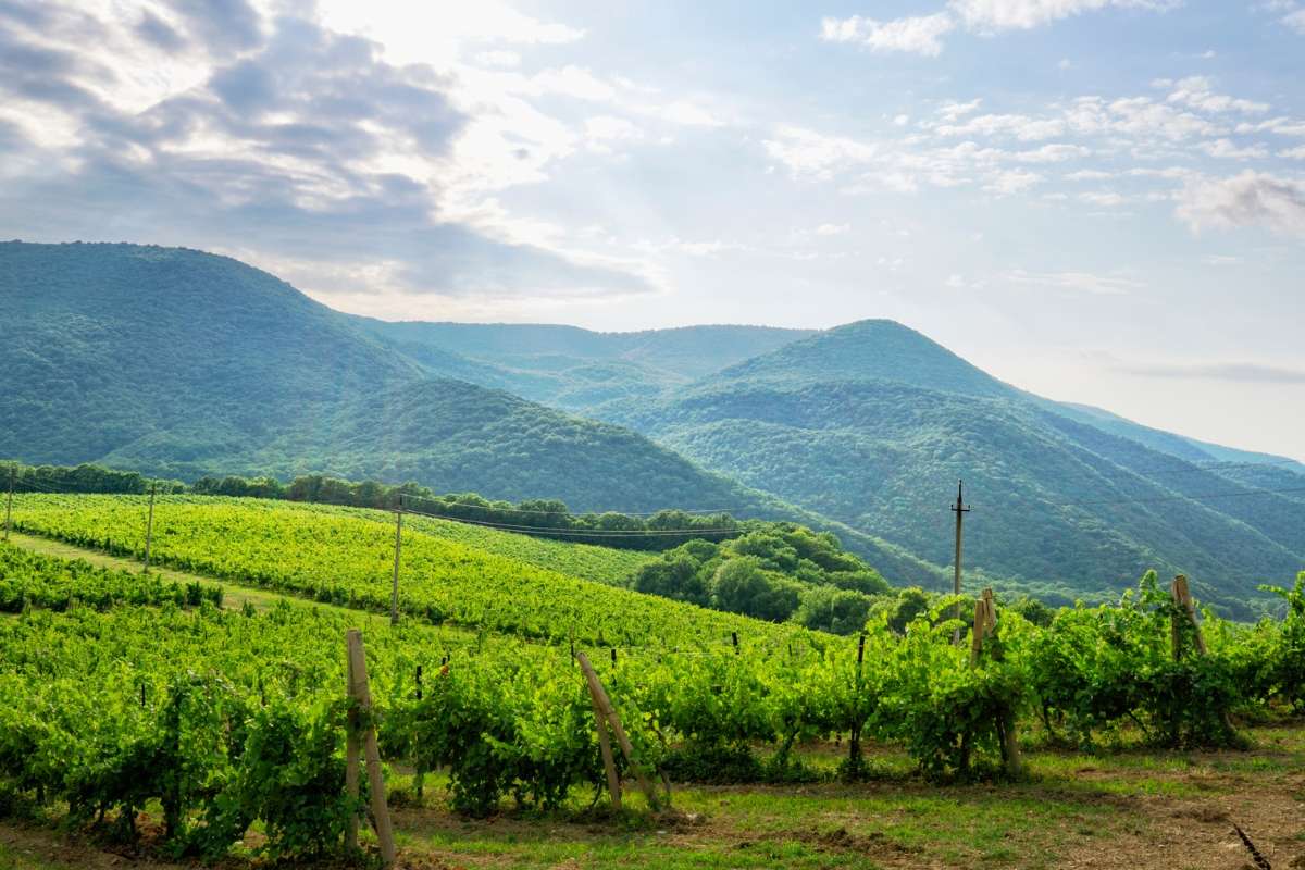 The Ingredients of Wine Tourism: The Importance of Territory and Its Attractiveness