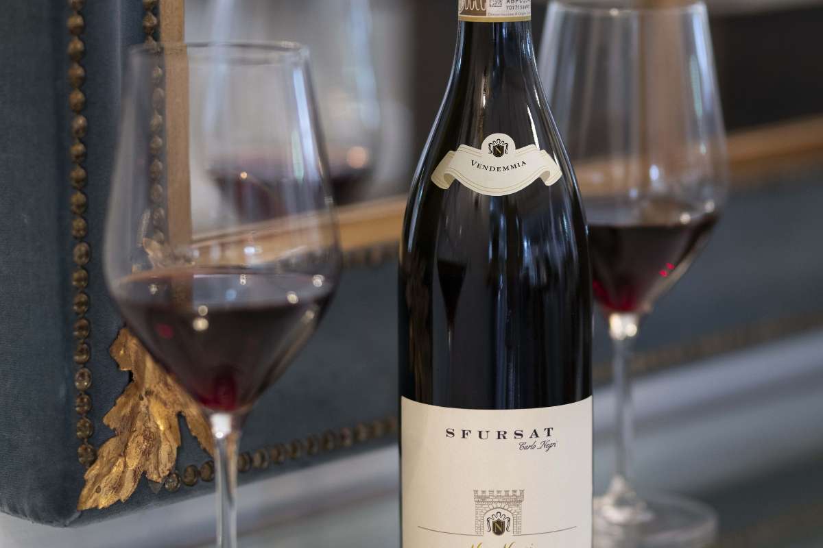 Gruppo Italiano Vini (GIV) due novità bollono in pentola!