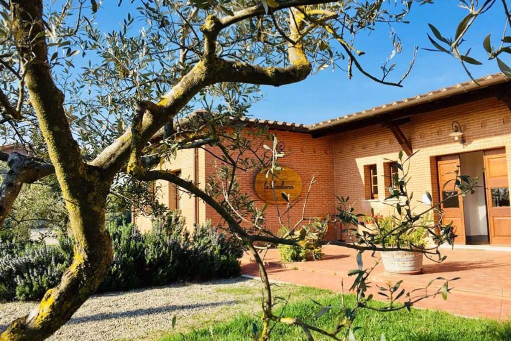 Innovation and Tradition in the Heart of Montepulciano: Wine Tourism According to La Ciarliana