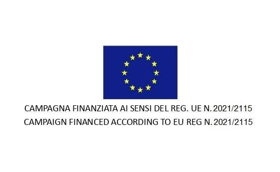 Mandatory Logo OCM 2024