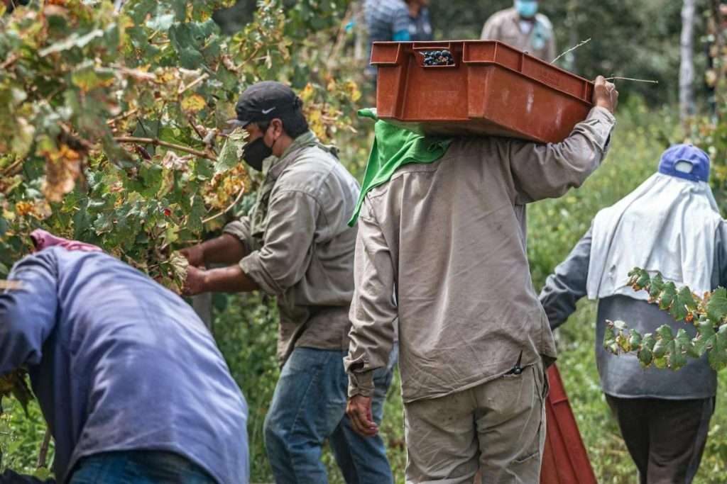 Manodopera e responsabilità sociale approcci e criticità