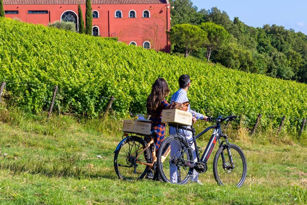 Outdoor tra le vigne di Caiarossa