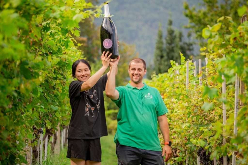 Wine tourism revolution in Domodossola: Edoardo Patrone's innovative vision