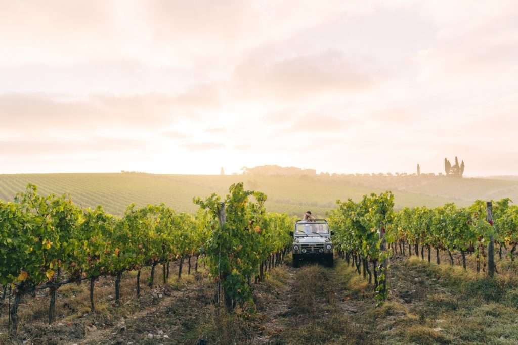 Vallepicciola tra vigneti, cantine e arte