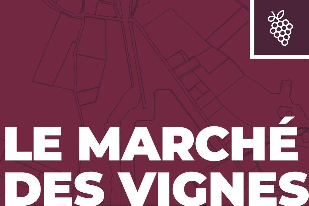 Vigneti in Francia calo transazioni ma aumento valore