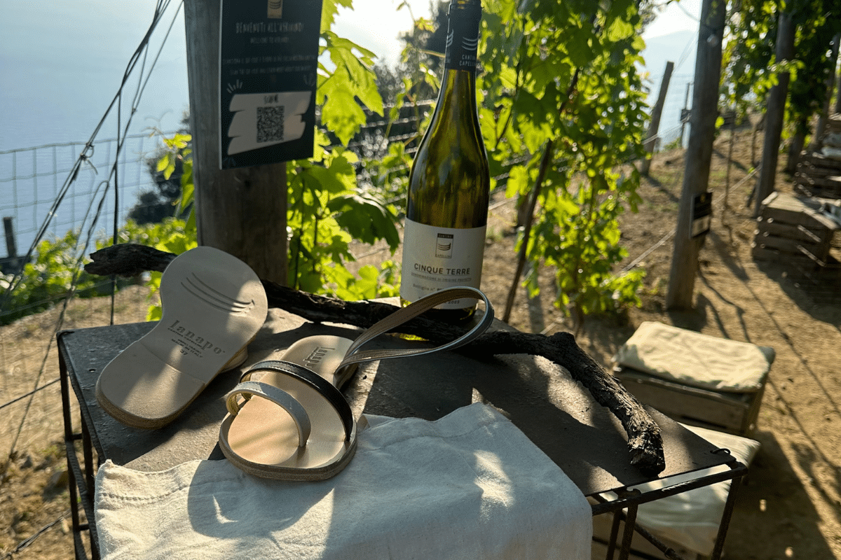 Dalla vigna ai piedi quattro aziende italiane si uniscono per la creazione di una capsule collection sostenibile