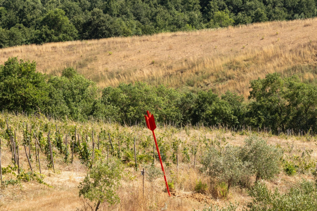 Fattoria La Maliosa, tra natura, arte, sport e degustazioni