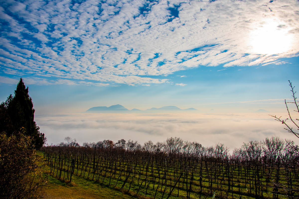 I Colli Euganei sono Riserva Mondiale della Biodiversità Unesco