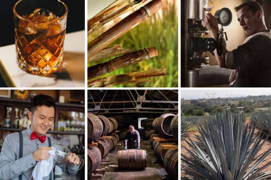 Mercato spirits supera vino