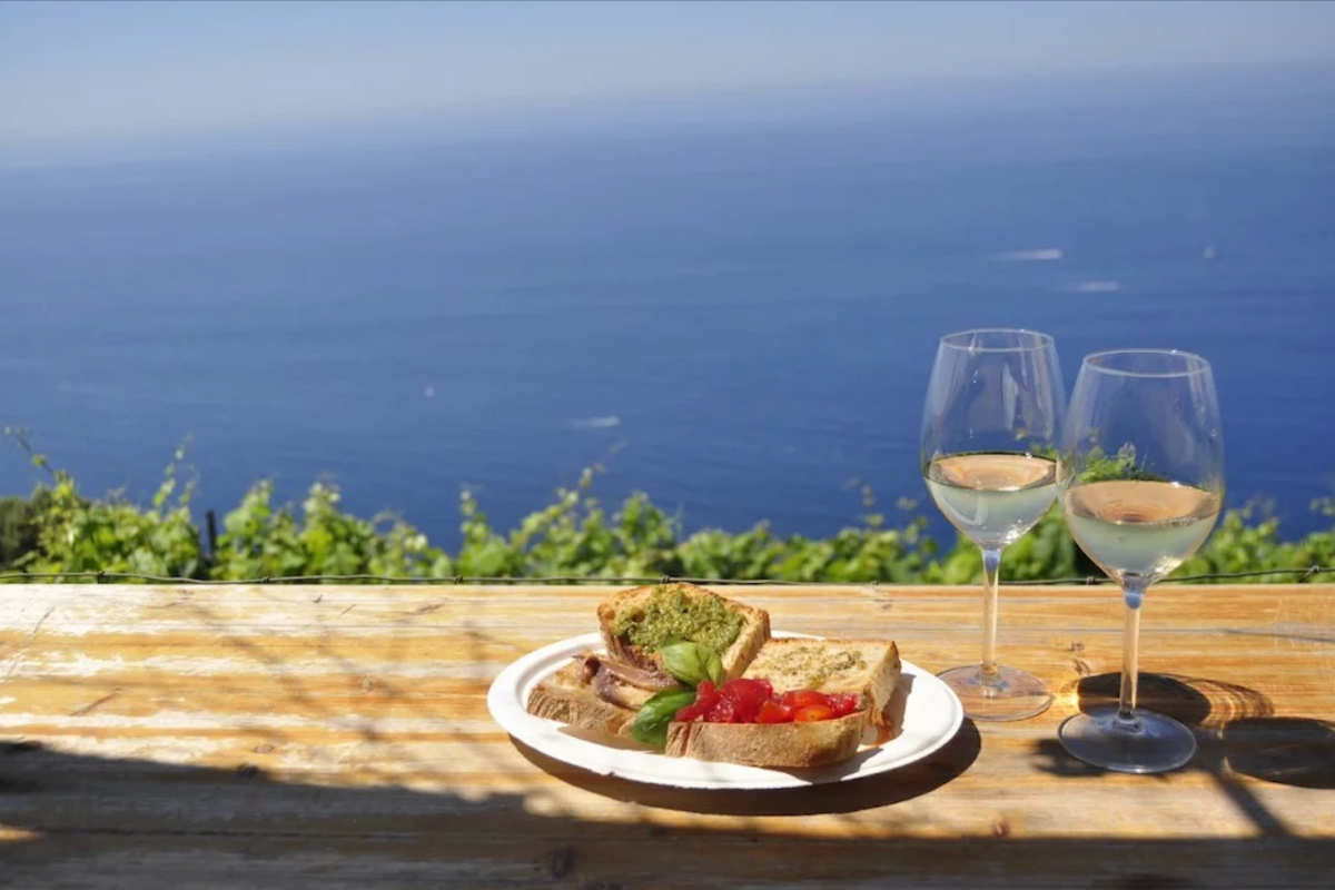 Oltre il vino c'è di più le esperienze in cantina più apprezzate secondo Divinea