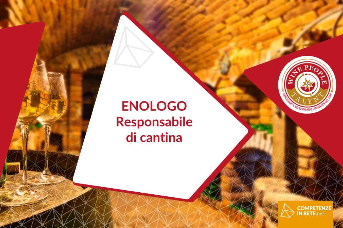 Opportunità di lavoro nel mondo del vino