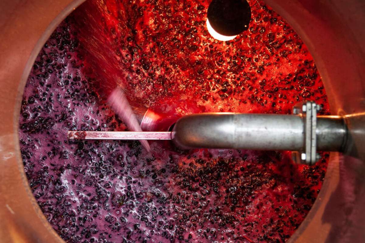 Portogallo vino sfuso miscelato illegalmente