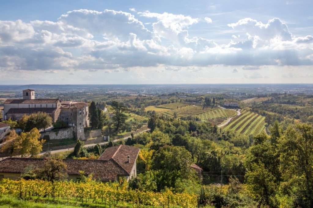 Promozione del territorio un focus sulle iniziative del Consorzio tutela vini Friuli Colli Orientali e Ramandolo. 