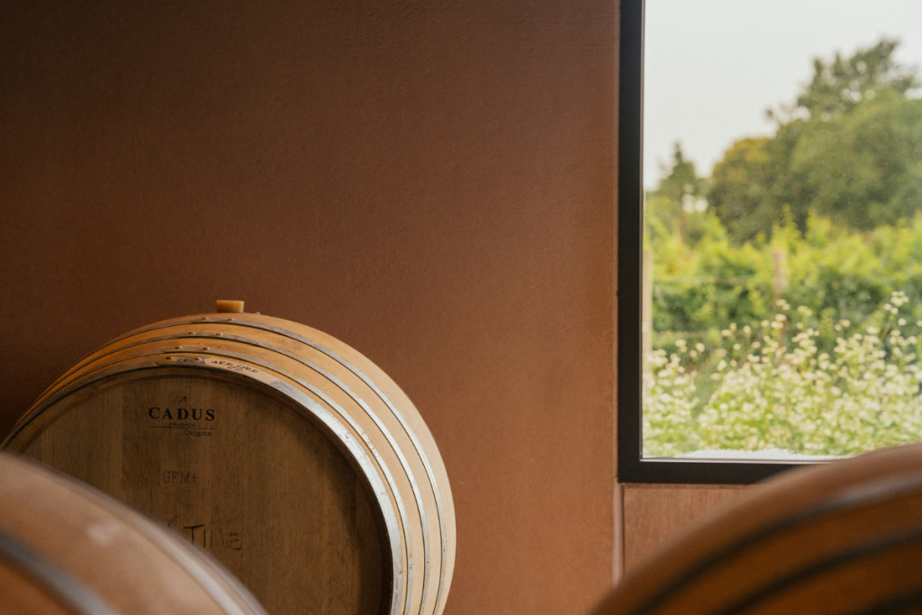 Quando la natura comanda, c’è poco da lamentarsi! Scarbolo racconta le difficoltà dovute alle piogge intense di questa primavera in modo diretto, accattivante e sincero.