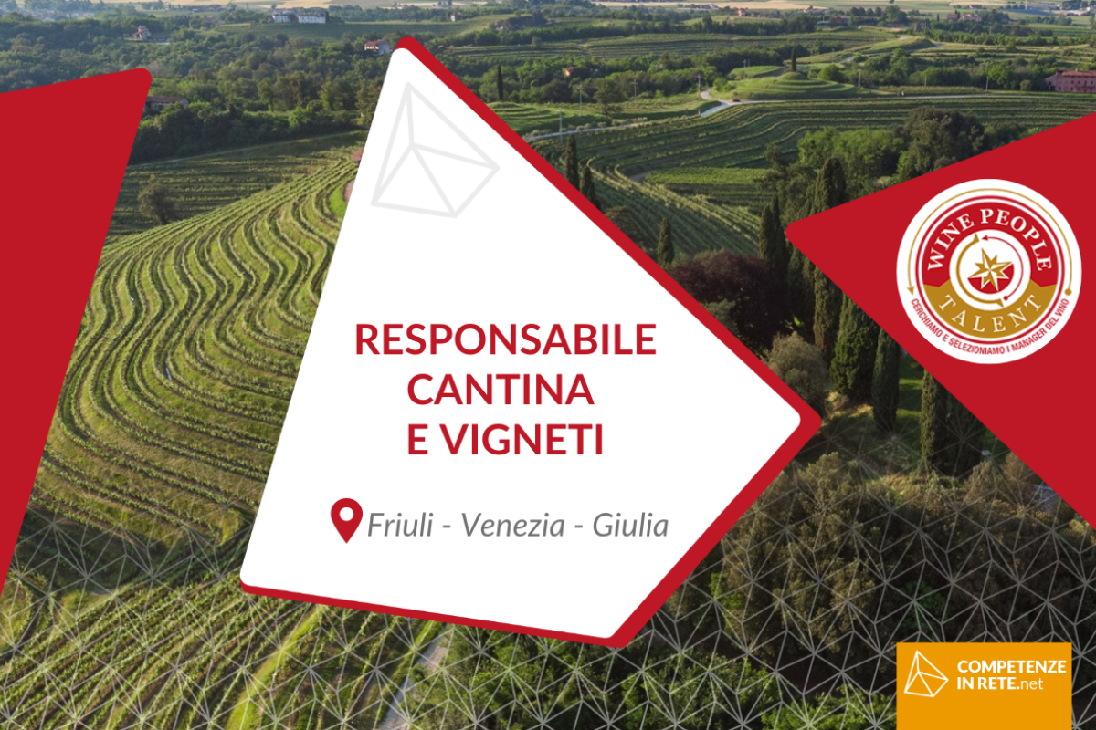 Responsabile cantina e vigneti
