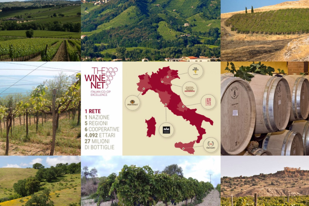 The Wine Net dove va il mercato e le iniziative delle cooperative italiane