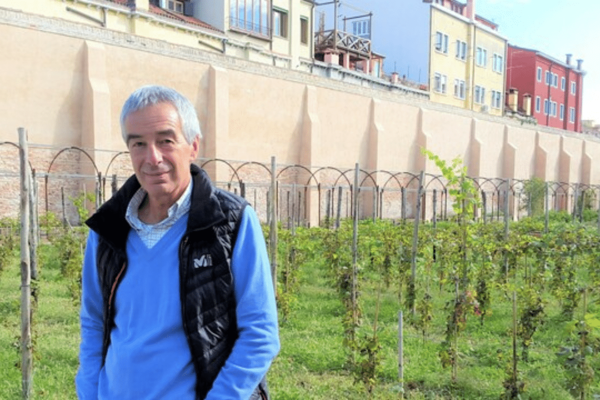 Vendemmia 2024 De Martin prevede una buona annata nonostante le difficoltà climatiche