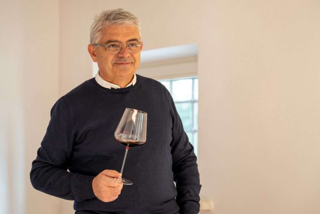 celestino gaspari zyme