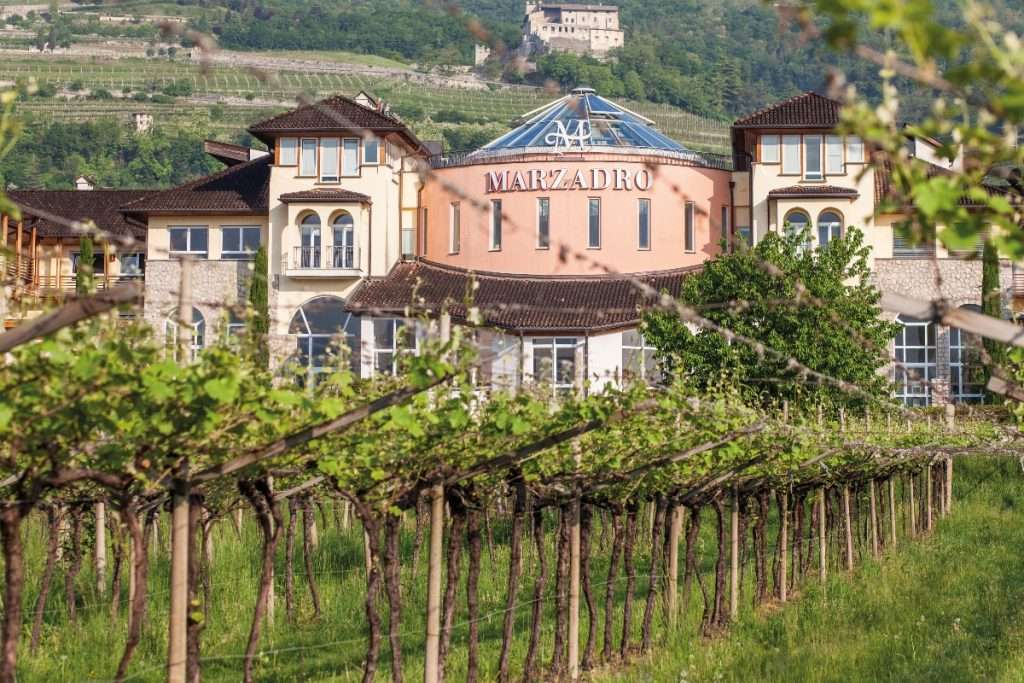 distilleria marzadro visite accoglienza enoturismo (1)