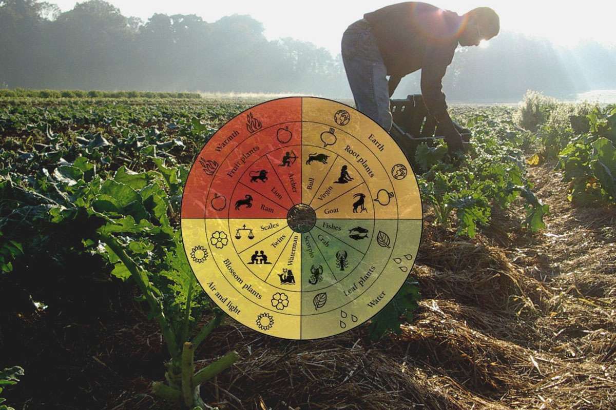 steiner agricoltura biodinamica