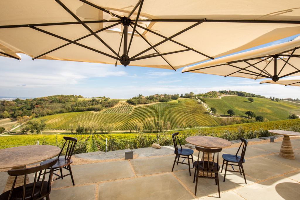 Settembre in Vigna le esperienze enoturistiche offerte da Palazzo di Varignana