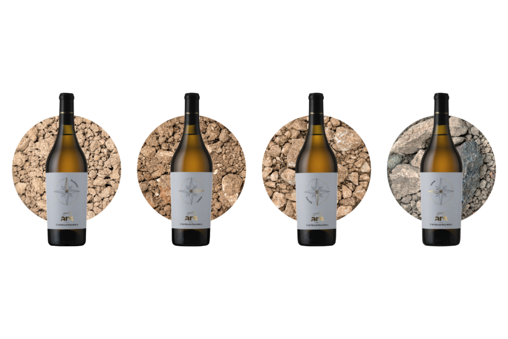 Il Progetto Identitas di Cantina Solopaca 