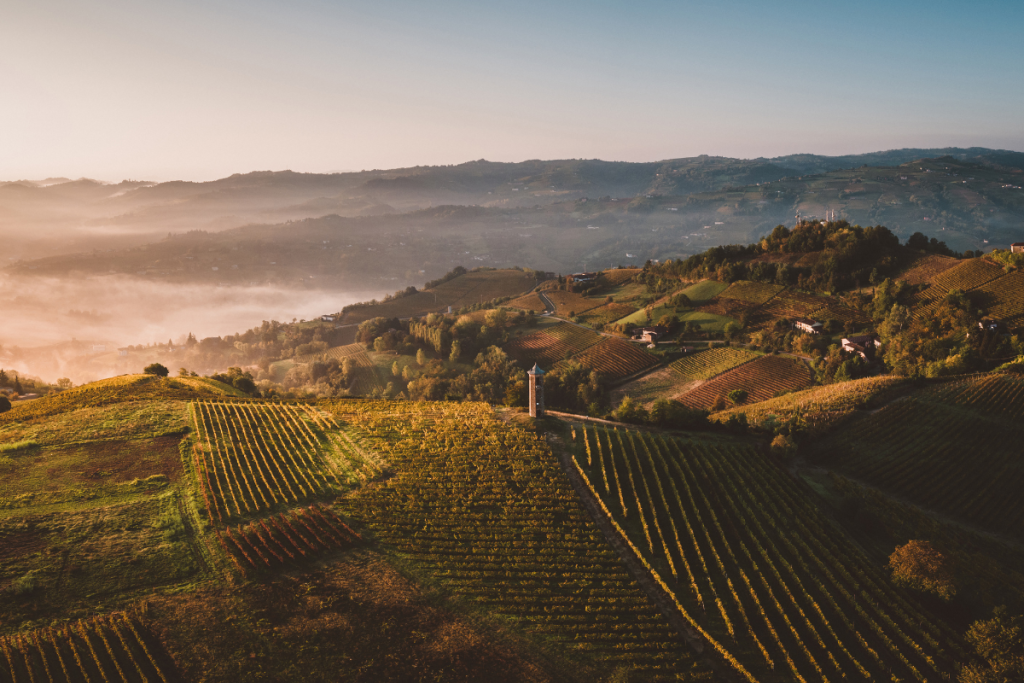 Asti Docg mercato stabile nel primo semestre 2024, crescono moscato d’Asti ed export in Europa dell’Est