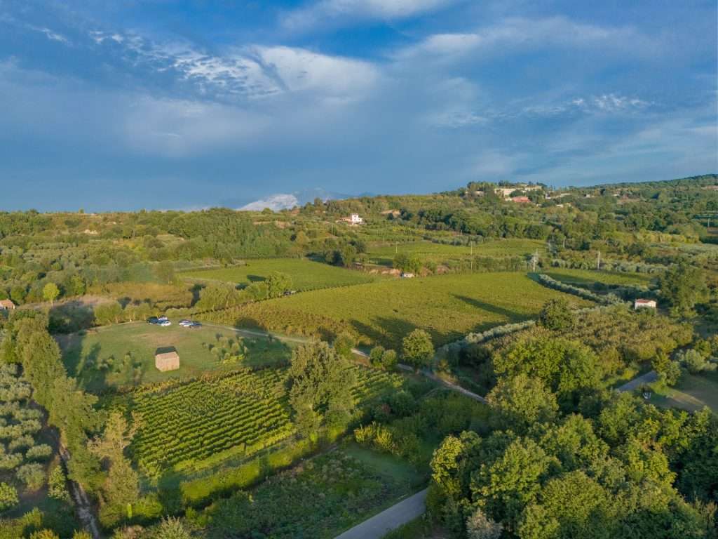 Fattoria-Pagano-leads-in-all-areas-of-wine-excellence-in-Campania