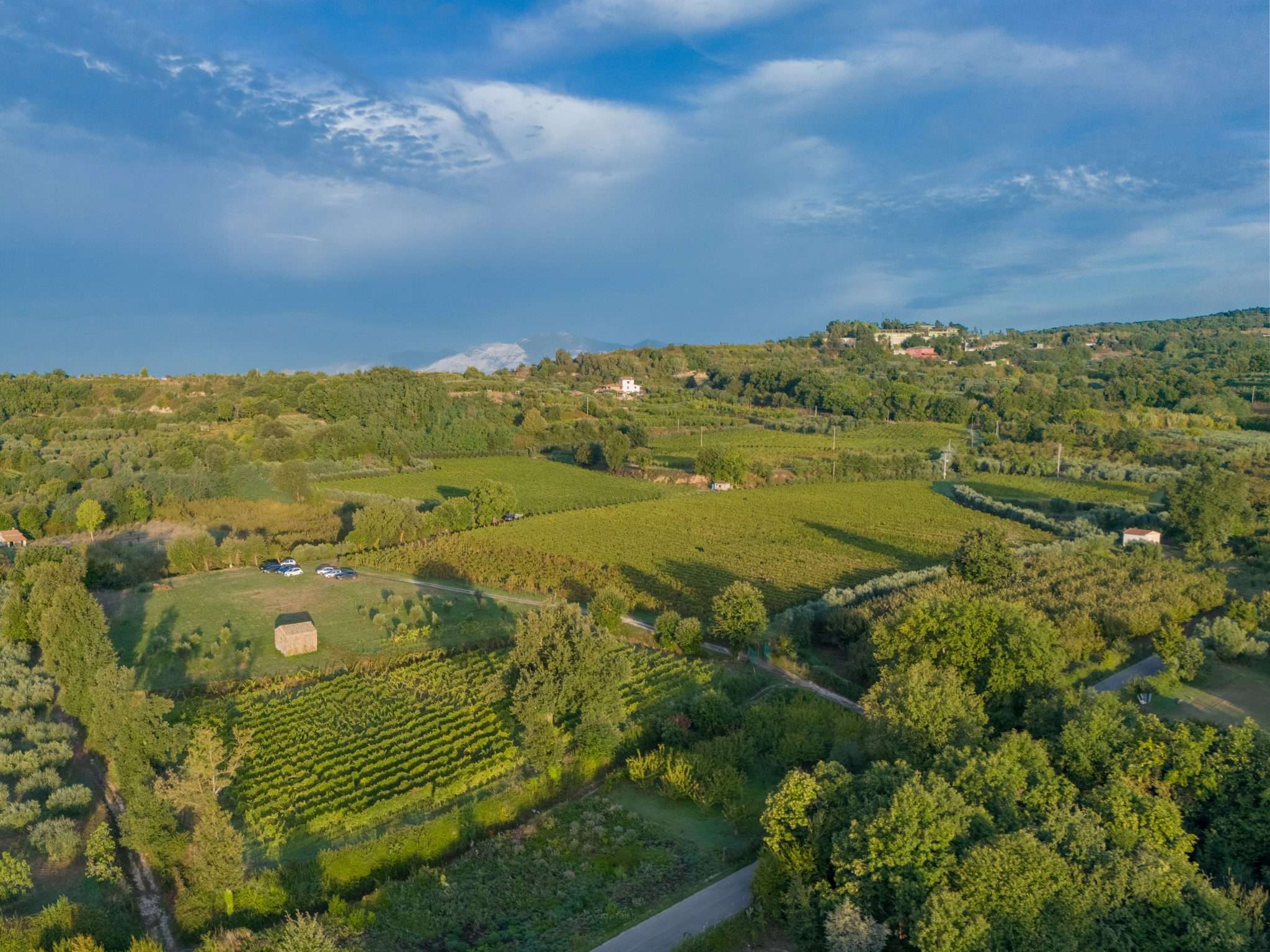 Fattoria-Pagano-leads-in-all-areas-of-wine-excellence-in-Campania