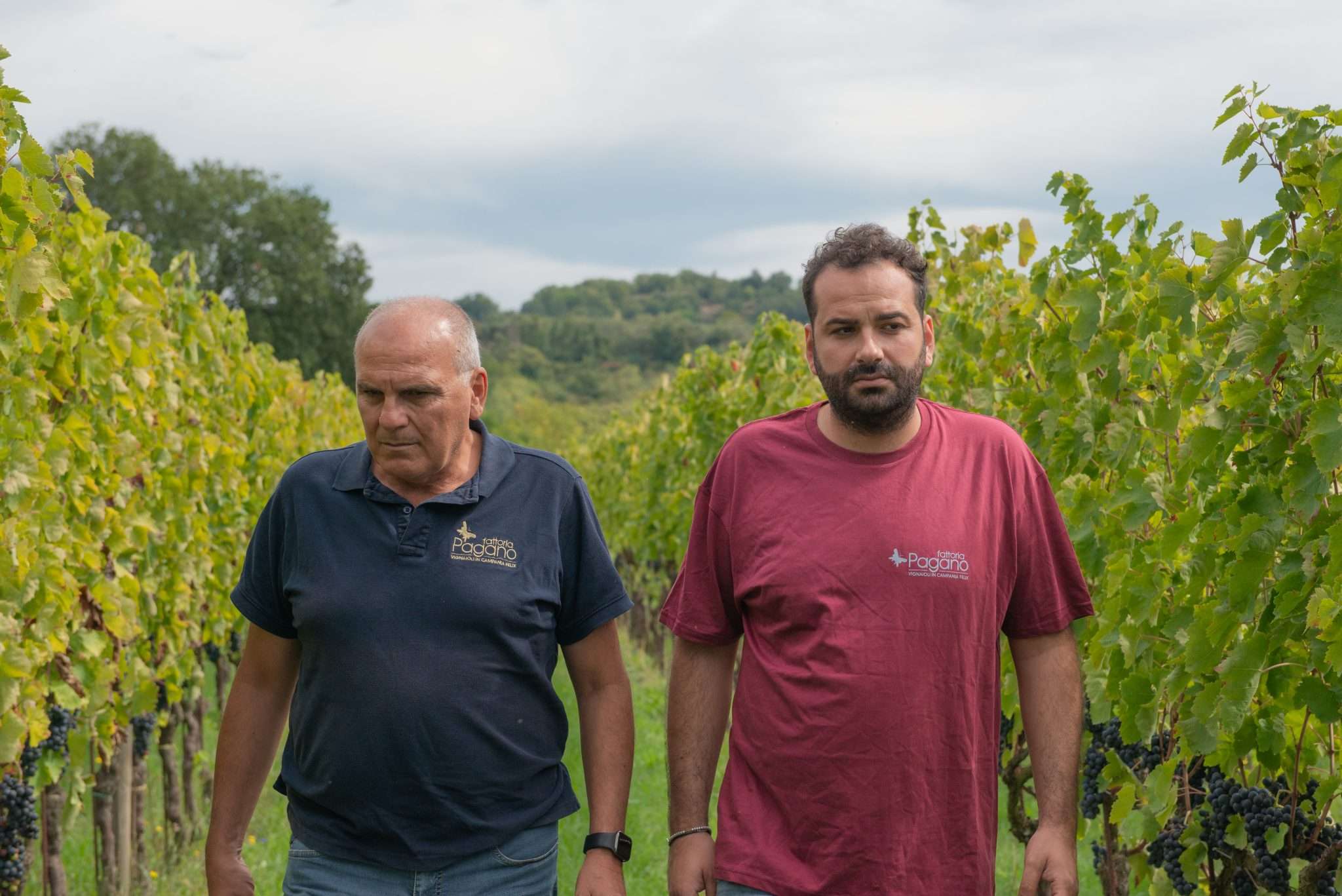 Fattoria Pagano's vision producing quality wines that reflect the territory