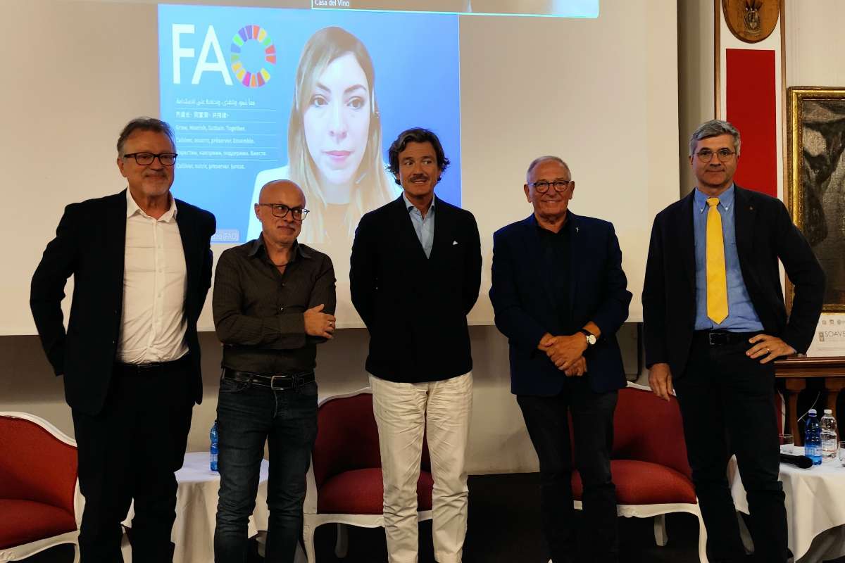 Identità Soave paesaggio freschezza longevità