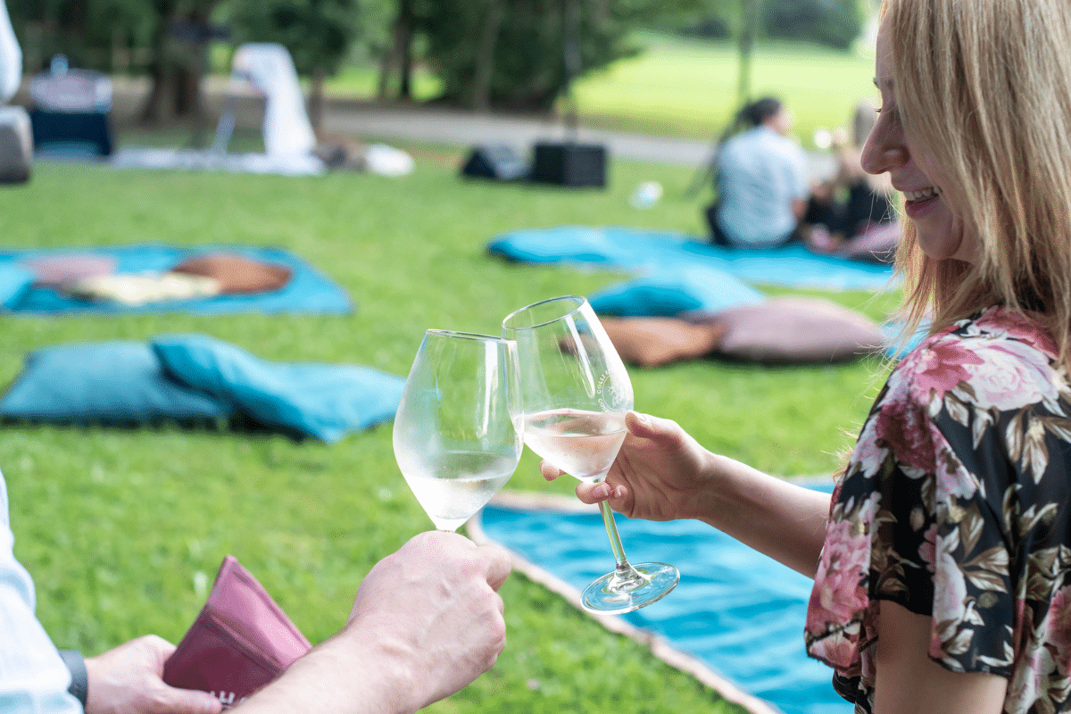 Il Serprino protagonista della Festa dell'Uva il Consorzio dei Colli Euganei lancia un piano di valorizzazione