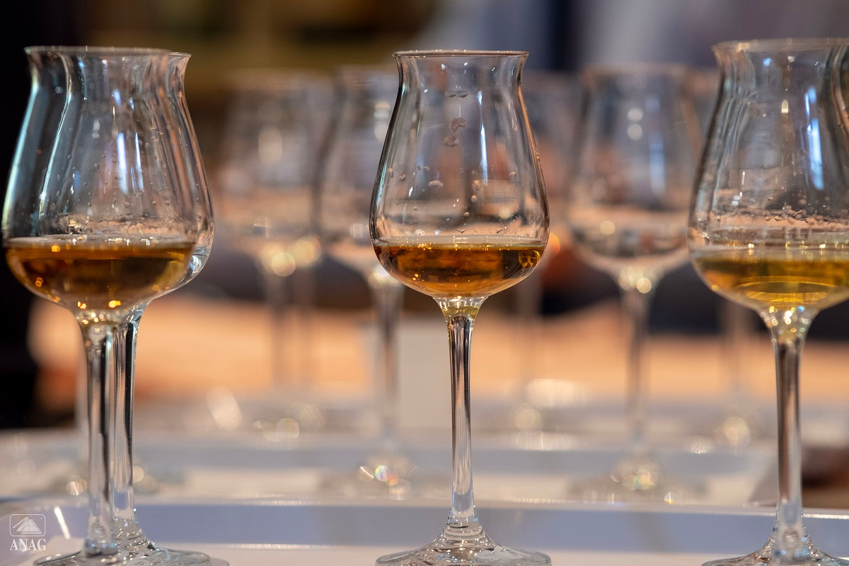 Il futuro della Grappa e degli Spirits sostenibilità e innovazione protagoniste ad Asti