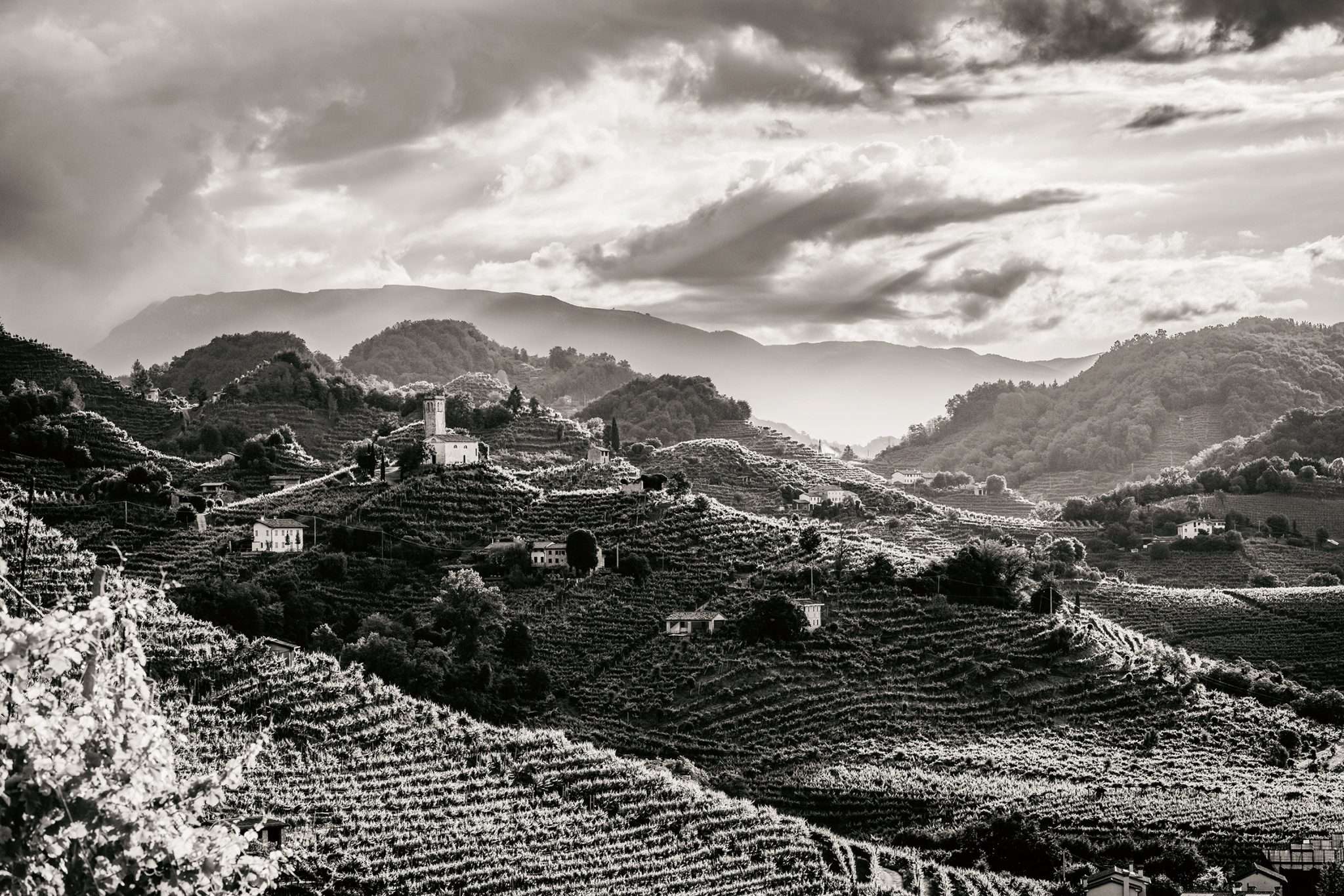 Il passo del Viandante 1