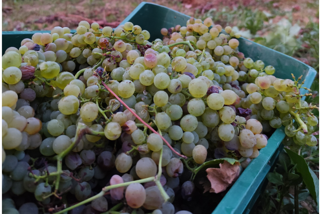 Progetto senza titolo