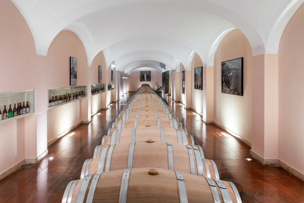 Zaccagnini a diversified product range reflecting a clear market strategy