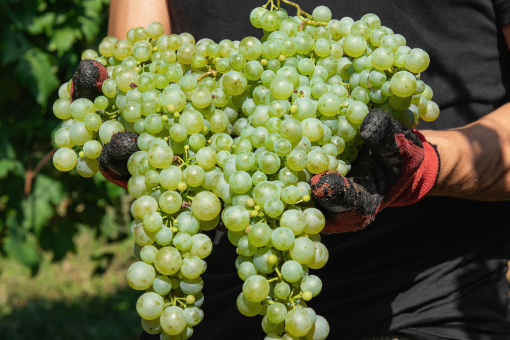 Ardenghi Italian youthful dynamism expanding in the global market