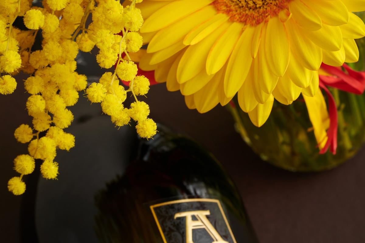 Ardenghi the dynamic Italian youth advances in the global market