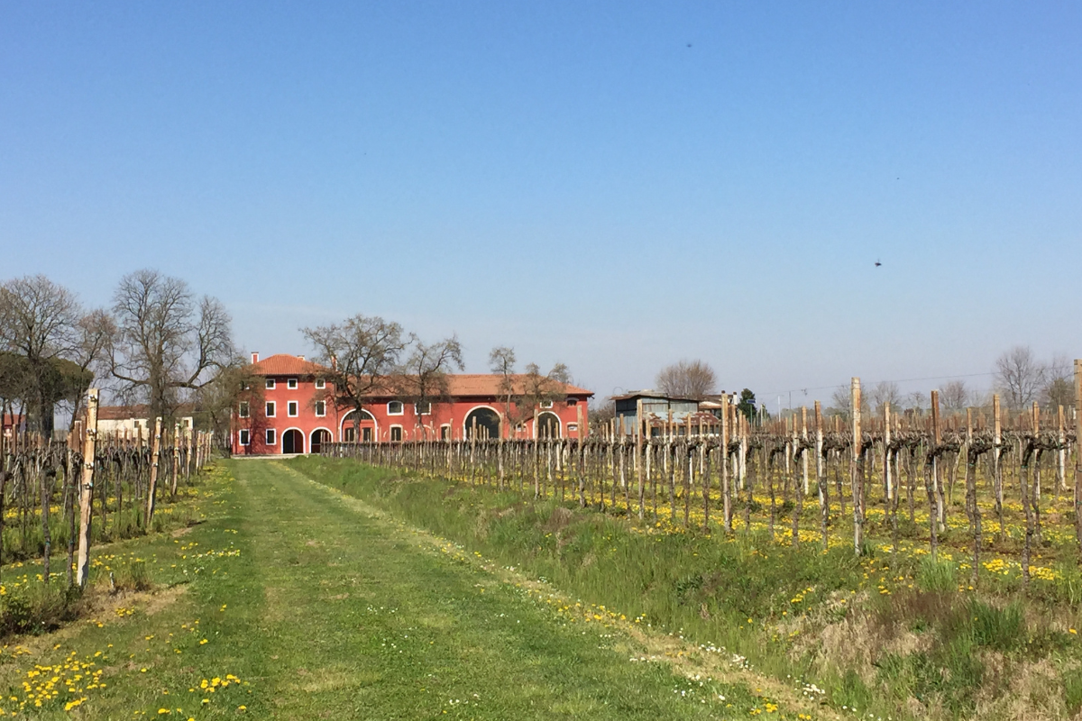 Ardenghi the path to foreign markets goes through quality and seduction