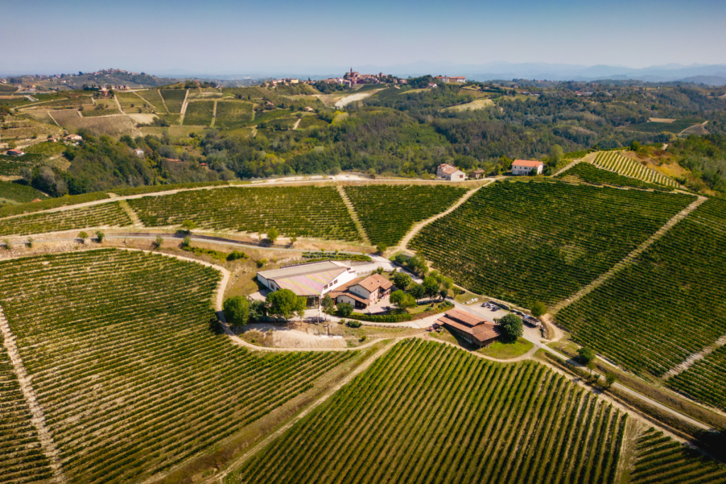 Argea Group an aggregator of companies accelerating Italian wine worldwide