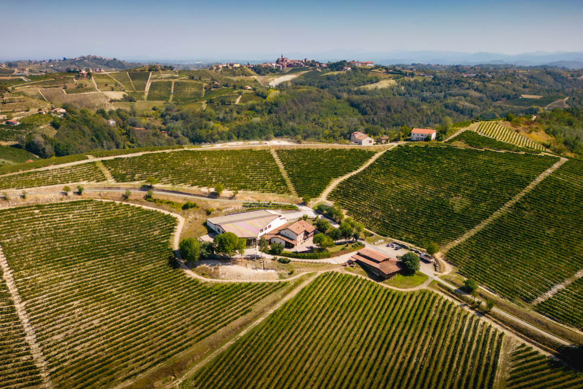 Argea Group an aggregator of companies accelerating Italian wine worldwide