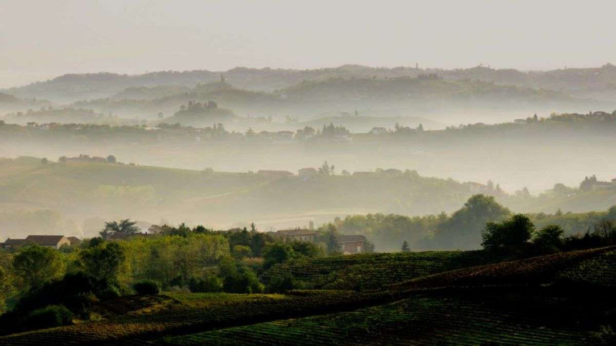 Asti Docg versatilità del Moscato Bianco per il mercato globale
