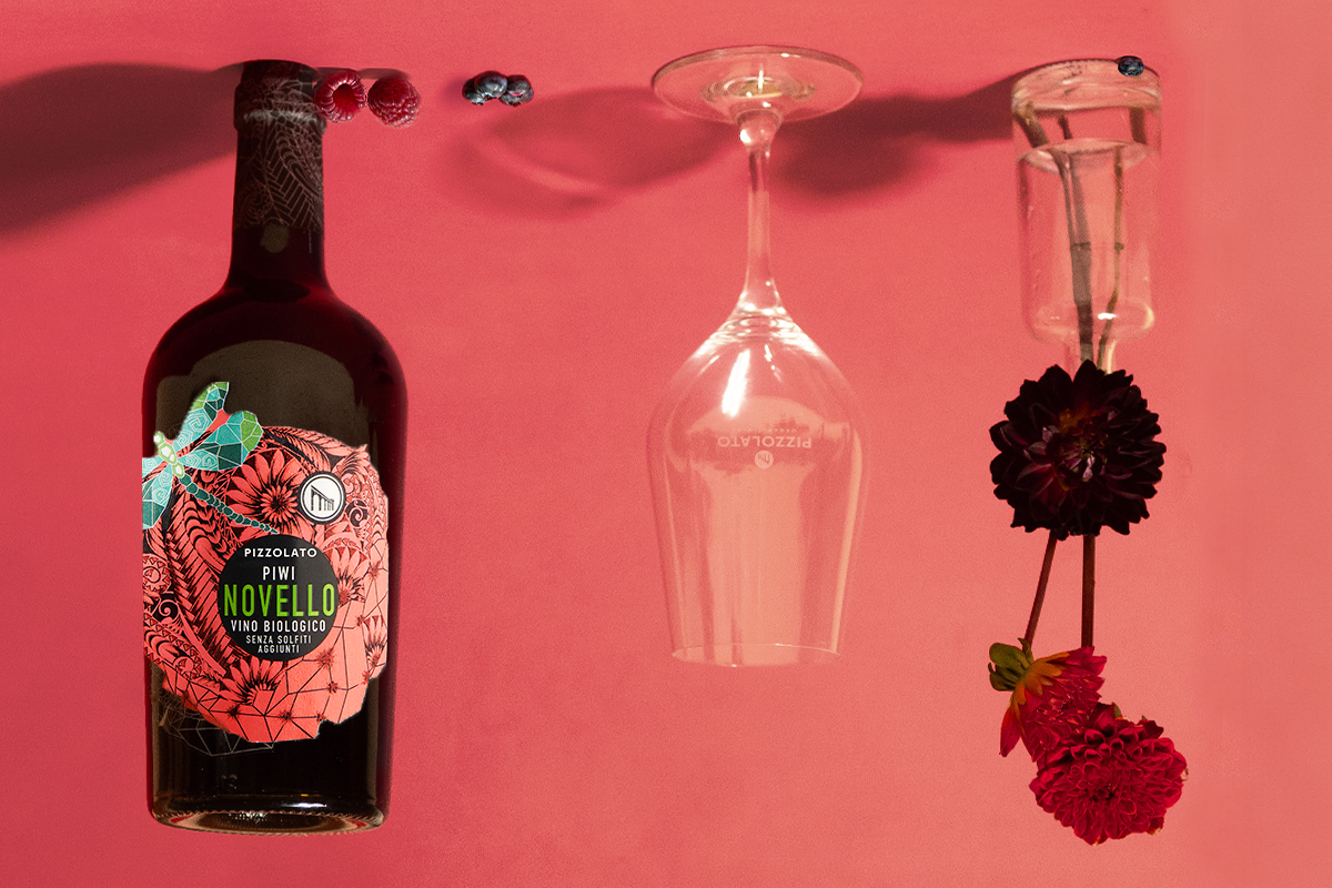 Cantina Pizzolato presenta il Novello IGT Veneto PIWI 2024 un vino sostenibile e senza solfiti aggiunti