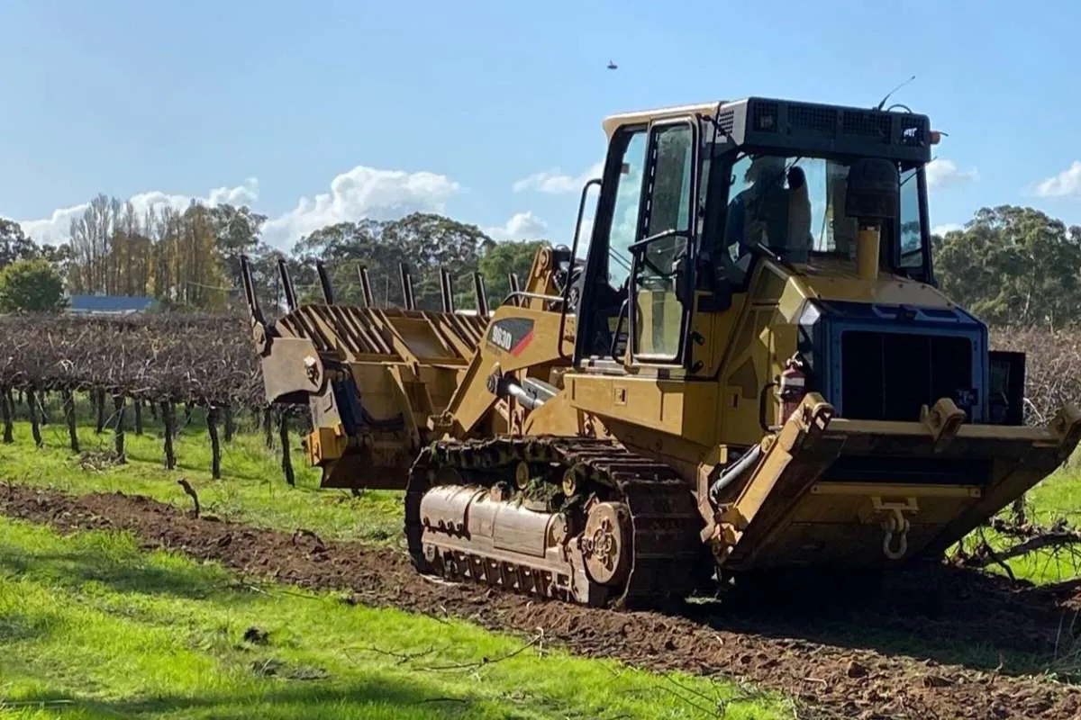 Crisi Francia piano rimuovere vigneti