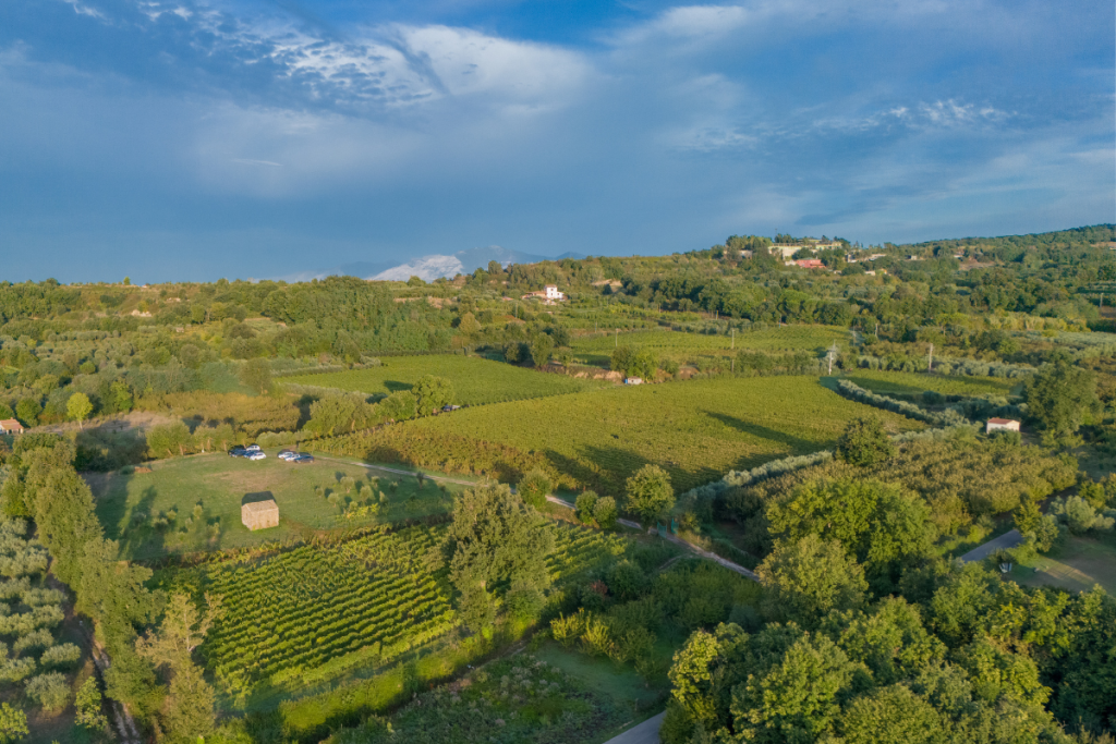 Fattoria Pagano presidia tutte le aree dell’eccellenza enologica campana